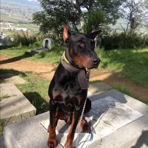 Meet your Posher, Brendilyn